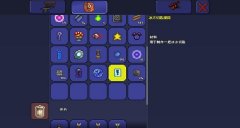 泰拉瑞亚女性服装搭配(泰拉瑞亚时装搭配)