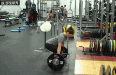 健美肌肉怎么锻练的(健美怎么训练)