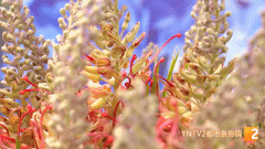 云南芦荟化妆品品牌排行榜(云南芦荟化妆品品牌排行榜前十)