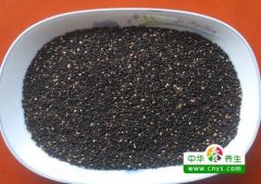 瘦腿食谱(瘦腿的饮食)