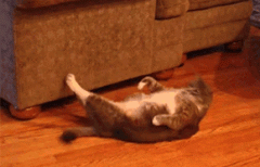 瘦腿练腹肌APP(瘦大腿练腹肌)