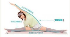 郑多燕减肥瘦身操瘦腿(郑多燕减肥操瘦身操瘦腿瘦肚子)