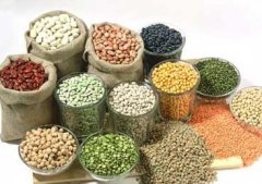 初中生肥胖怎么减肥