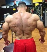 怎么展示背阔肌(怎样练背阔肌图示)