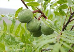 宁夏干皮化妆水排行榜品牌(宁夏干皮化妆水排行榜品牌有哪些)