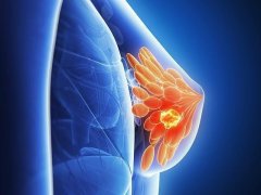 经络丰胸   方法