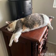 趴着的减肥方法(趴着怎么瘦)