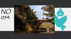 拉力绳训练方法动态图(拉力绳初学20个动作)