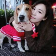 澳洲常用化妆棉品牌排行榜(澳洲本地化妆品排行榜前十名)