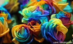 邯郸化妆品排行榜品牌大全(邯郸化妆品加盟店)