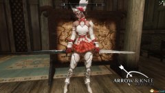 上古卷轴5女性服装穿不了(上古卷轴5女忍者服装)