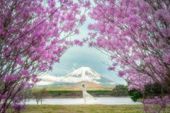 未来世界女性推荐服装(未来风格时装)