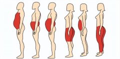 女生怎么减肚子(女生怎么减肚子和腿)