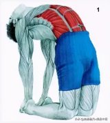 跑完步怎么拉伸视频(跑完步拉伸运动怎么做视频)