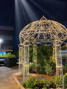 结实的胳膊怎么减(胳膊壮实怎么减)