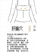 刮肝经的方法图(刮肝经的准确位置图)