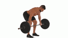 杠铃使用方法(杠铃使用说明)