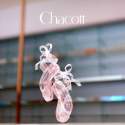 高端芭蕾训练服装品牌排行榜(芭蕾舞机构排名)