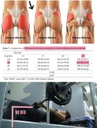 挺拔臀部的方法(挺拔臀部的方法图解)