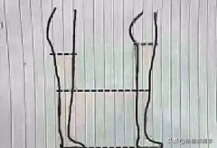 屁屁变大变翘方法