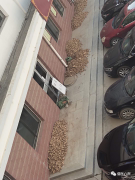 怎么样练虎口肌肉(虎口肌肉发达怎么减)