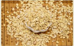 生的燕麦片吃了会怎么样(生的燕麦片吃了会怎么样吗)
