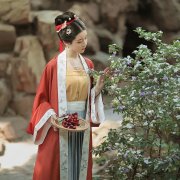 中国古代服装女性形象特征(中国古代各朝女子服饰的演变)