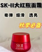 秋季化妆品平价品牌排行榜(秋冬护肤品排行榜10强)