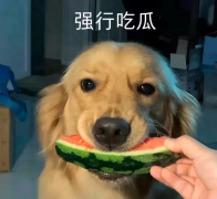 女孩用的化妆套装品牌排行榜(女生化妆套装排行榜)