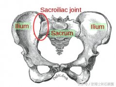 怎么放松股直肌(放松股直肌好的方法)