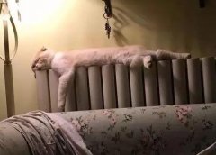 瘦脸不吃药快速方法(有没有减肥不瘦脸的方法)