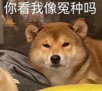 巧克力雪糕化妆品牌排行榜(巧克力雪糕化妆品牌排行榜前十名)