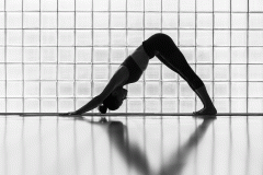 胸下部肌肉怎么锻炼(怎样锻炼胸肌下部的肌肉)