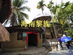 黎族的传统女性服装图片(黎族服饰图片)