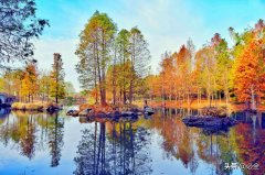 山西干皮化妆水排行榜品牌(干皮爽肤水排行榜前十名)