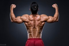 怎么减肌肉背上(后背肌肉怎么减掉)