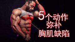 下胸肌锻炼方法图解(下胸的锻炼方法)