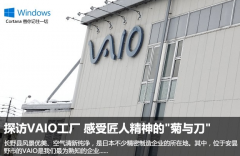 球形化妆棉品牌排行榜(球形化妆棉品牌排行榜前十名)