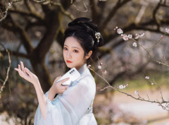 女士新中式服装品牌排行榜(新中式衣服品牌排行)