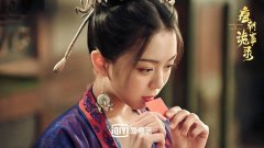 唐代女性服装款式图集图片(唐代女性服装款式图集图片及价格)