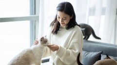 窗帘化妆桌平价品牌排行榜(窗帘化妆桌平价品牌排行榜及价格)