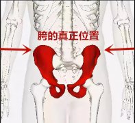 屁股特别翘怎么减(屁股翘如何减下来)