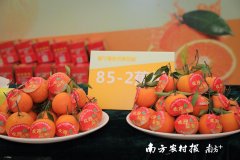 普宁护肤化妆品品牌排行榜(普宁服装)