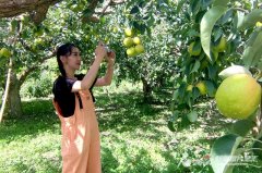 化妆品新疆品牌排行榜新(新疆化妆品公司排行)