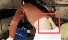 女性高级刺青服装图片大全(女性高级刺青服装图片大全集)