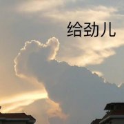 情侣的日常化妆品牌排行榜(情侣装品牌排名)