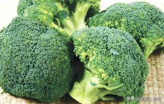 瘦腿零食(瘦腿的饮食)