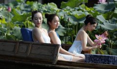 荷叶真的能减肥吗怎么吃(荷叶可以减肥吗)