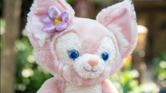 英国职业女性夏季服装(英国女生校服夏季)