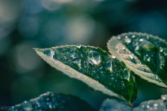 网上的减肥方法可信吗(网上减脂减肥可信吗)